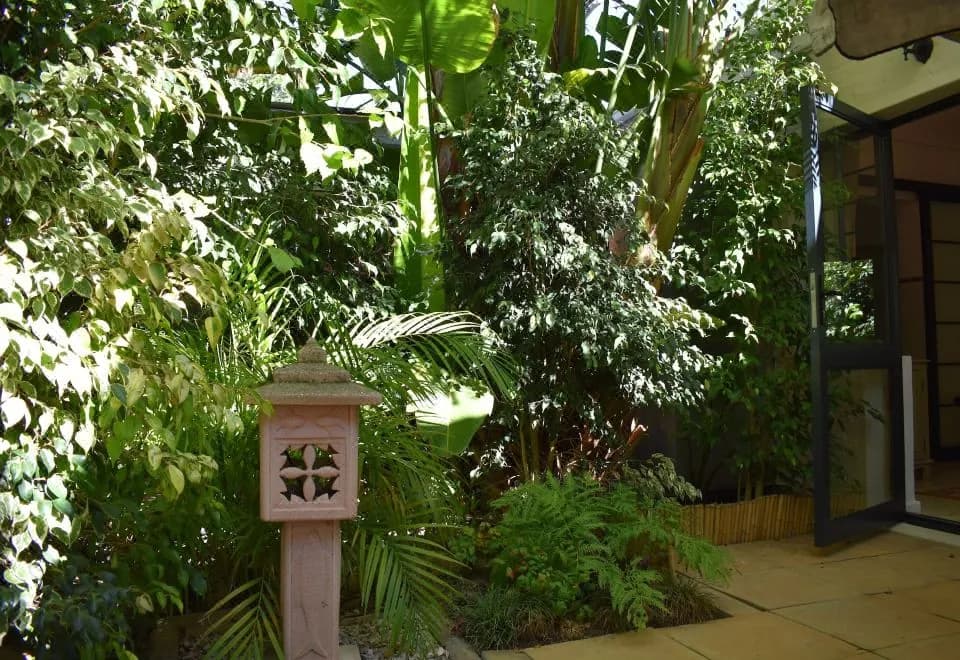 Paradiso Guest House