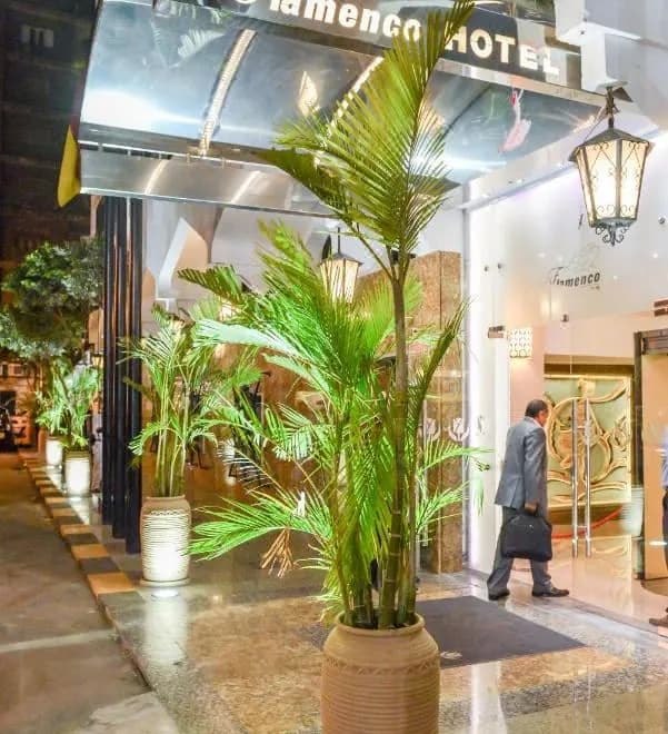 Hotel Flamenco Cairo