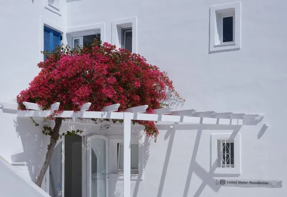 Loizos Stylish Residences