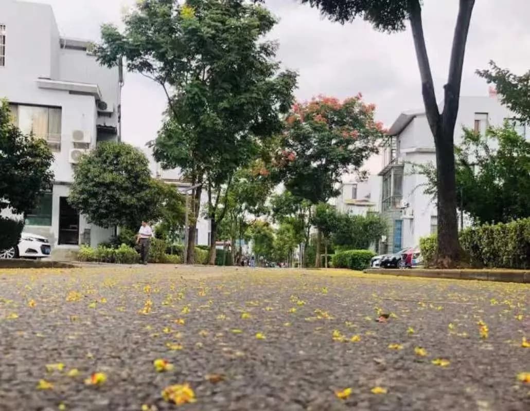 舒心别墅（国家会展中心店）