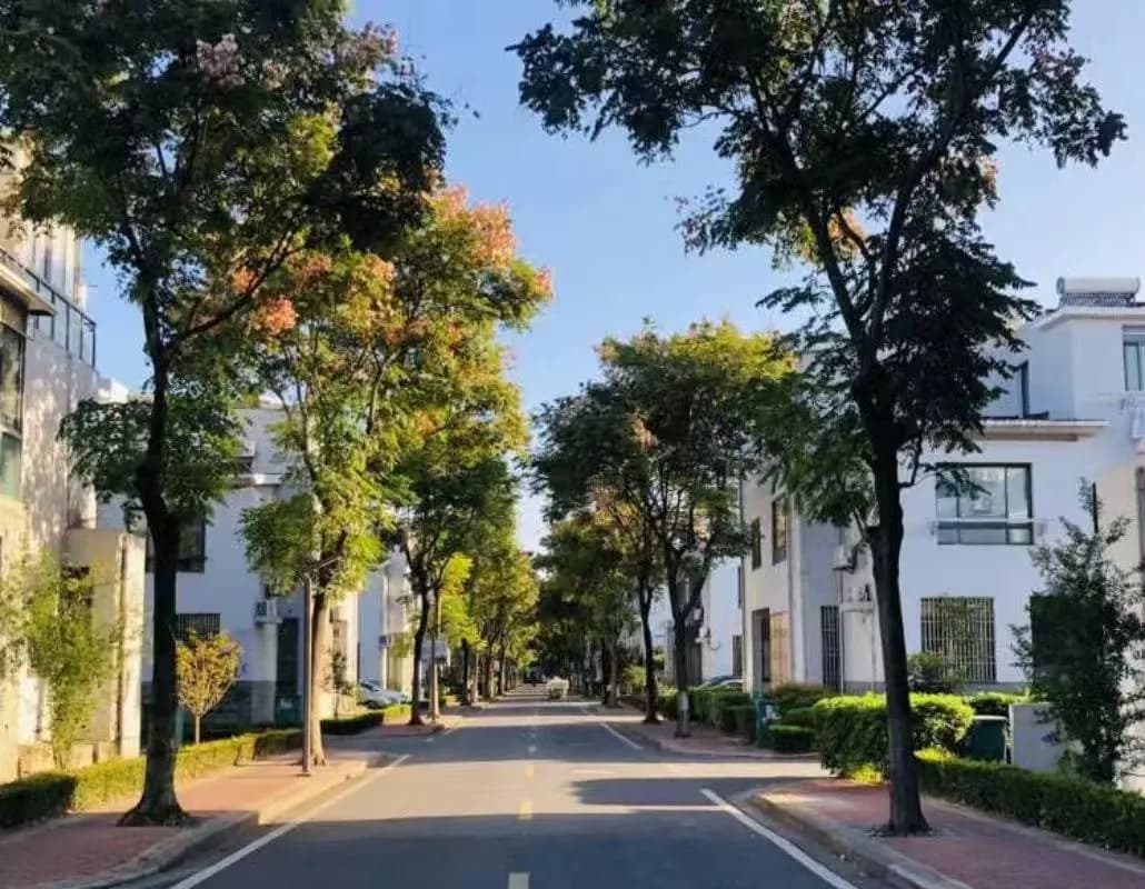 舒心别墅（国家会展中心店）