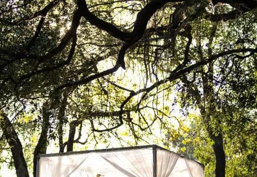 Royal Livingstone Hotel by Anantara