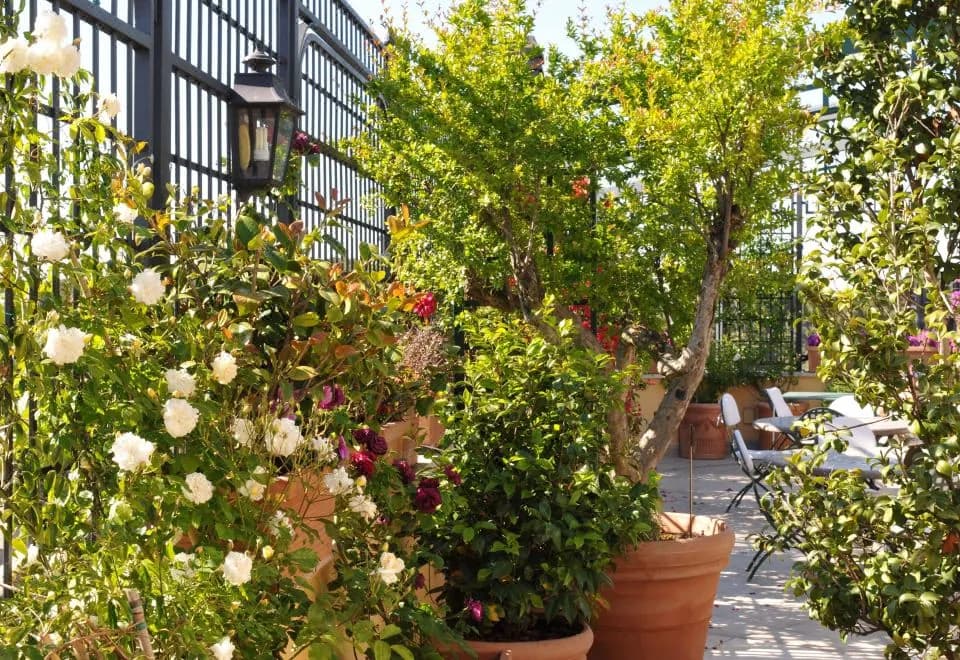 Hotel Victoria Roma