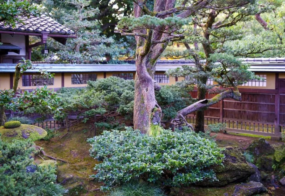 Kaname Hostel