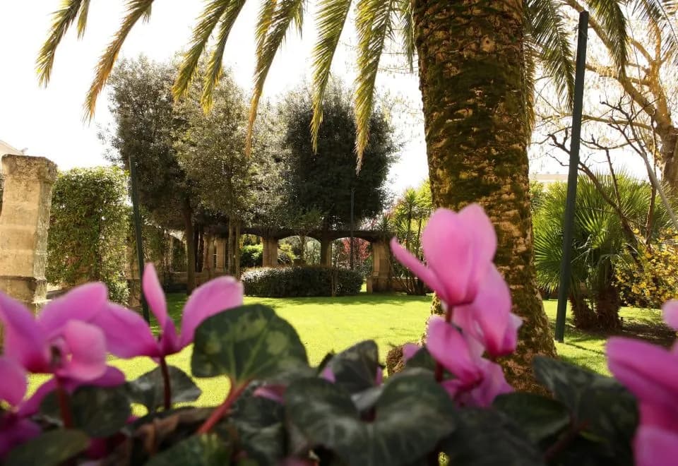 Hotel Del Campo