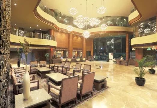 Vesta International