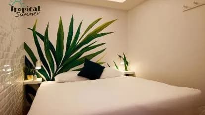 Tropical Summer Hostel