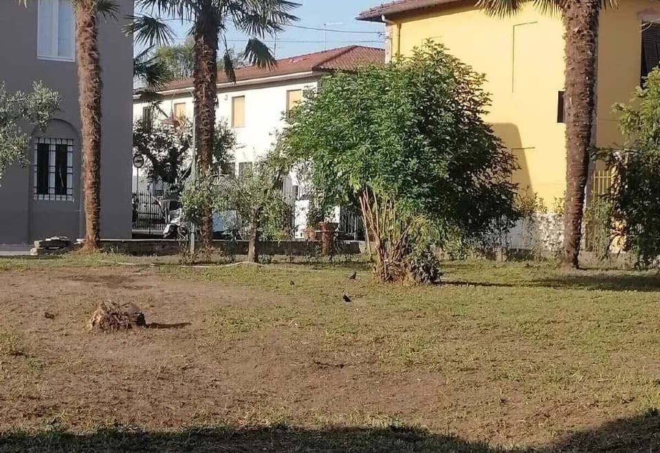 B&Biglucca