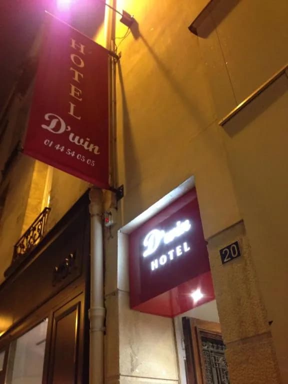 D'Win
