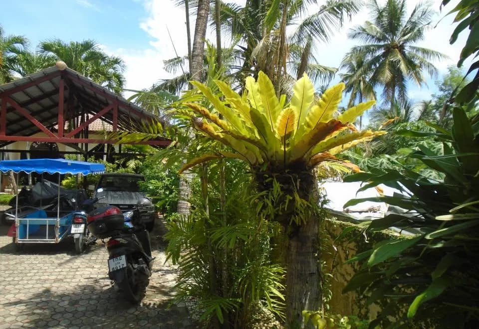 Baan Coconut