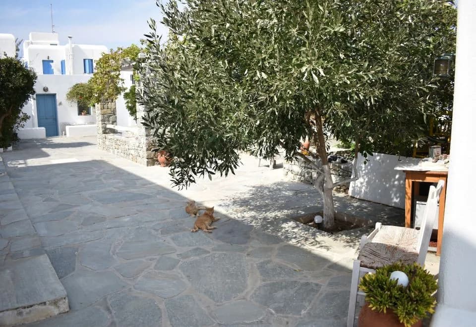 Andriani's Guest House