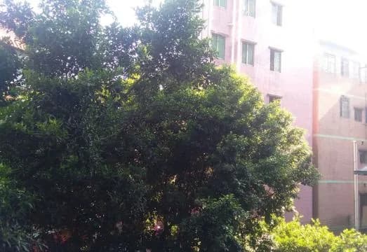 Kaixin Apartment (Guangzhou Zhongda)