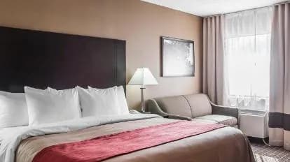 Comfort Inn Fort Erie