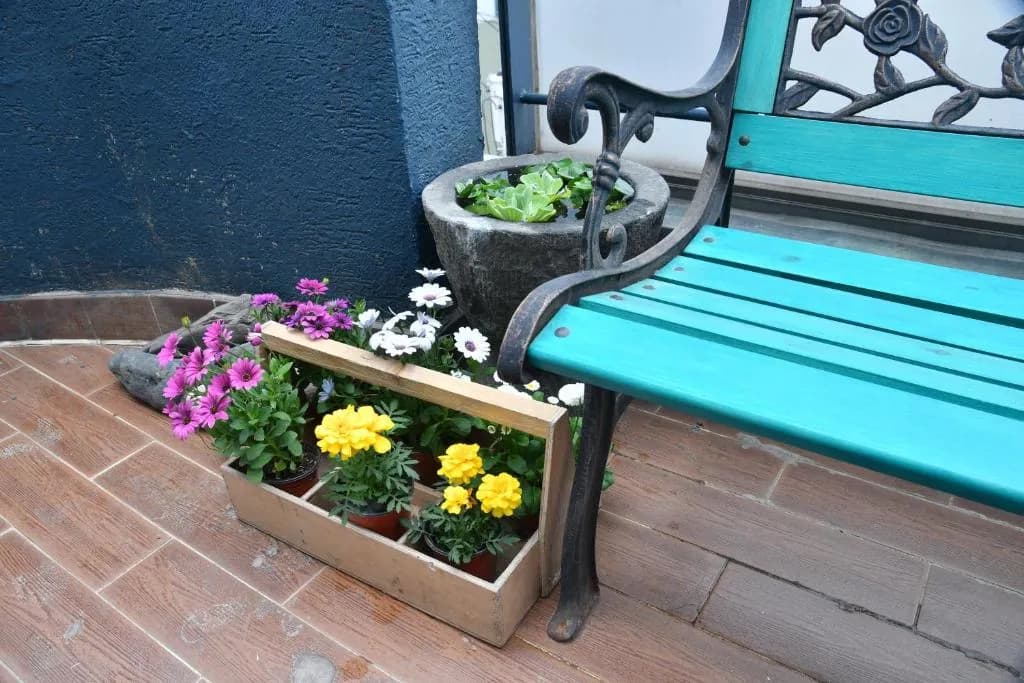 Dolma Hongdae Guesthouse