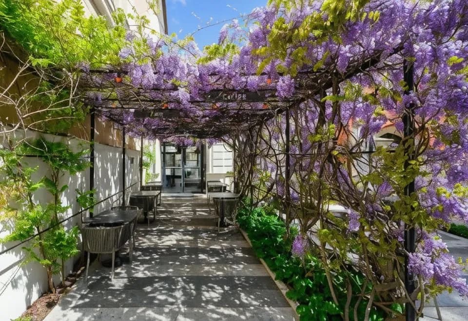 Maison Bistro & Hotel