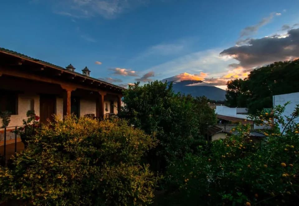 Naif Boutique Hotel & Gallery