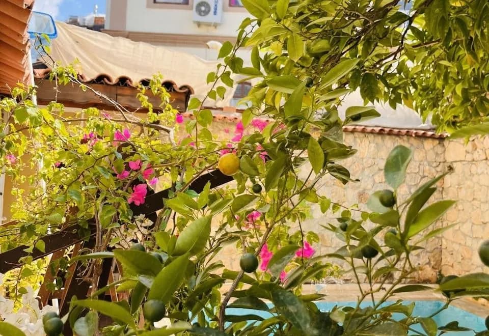 Kaleici Hotel