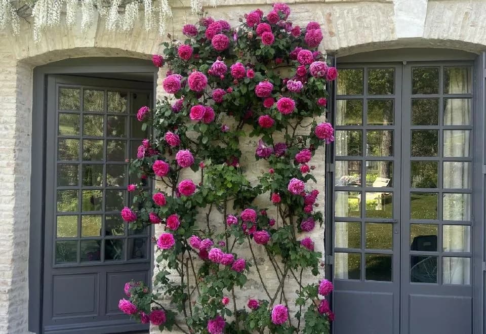 La Maison d'Aline