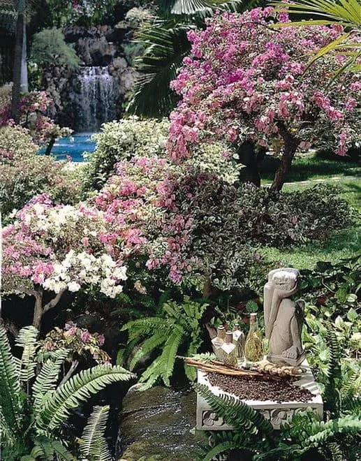 Parigata Resort and Spa