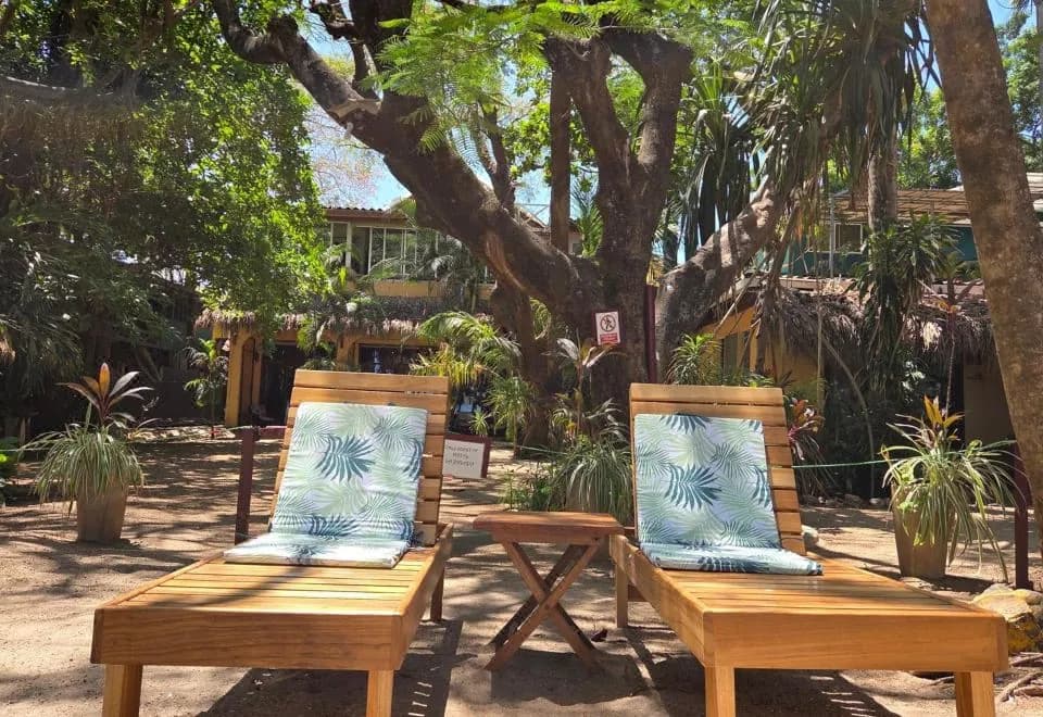 Hotel La Palapa
