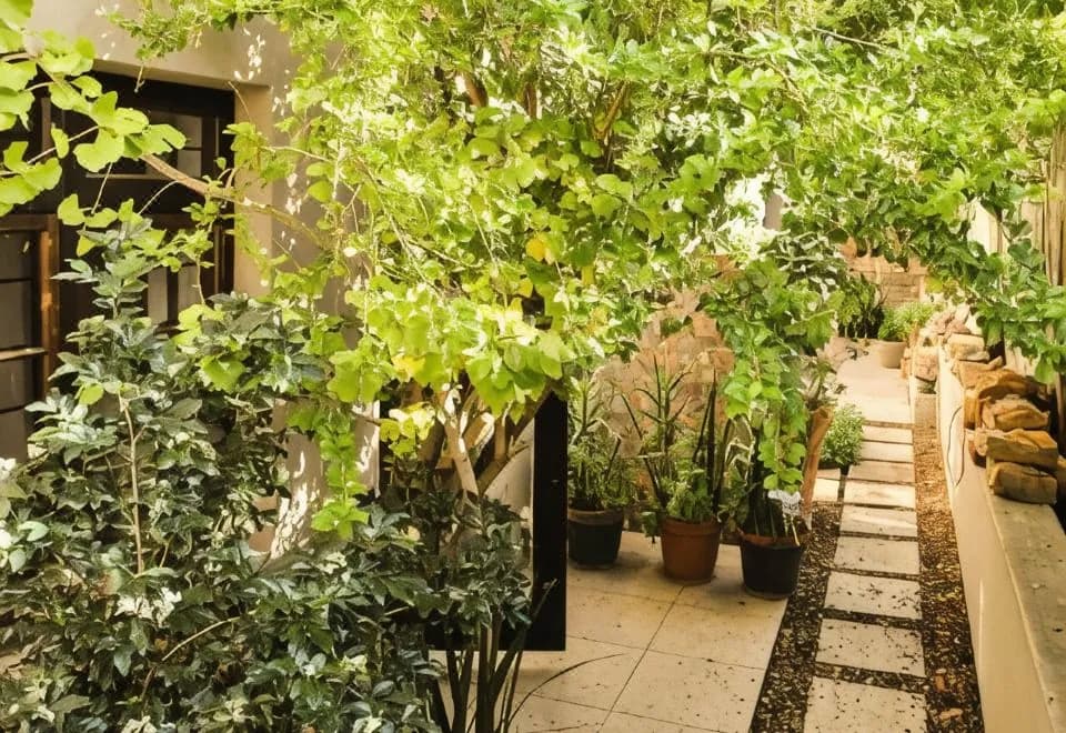 Wessels House Studio