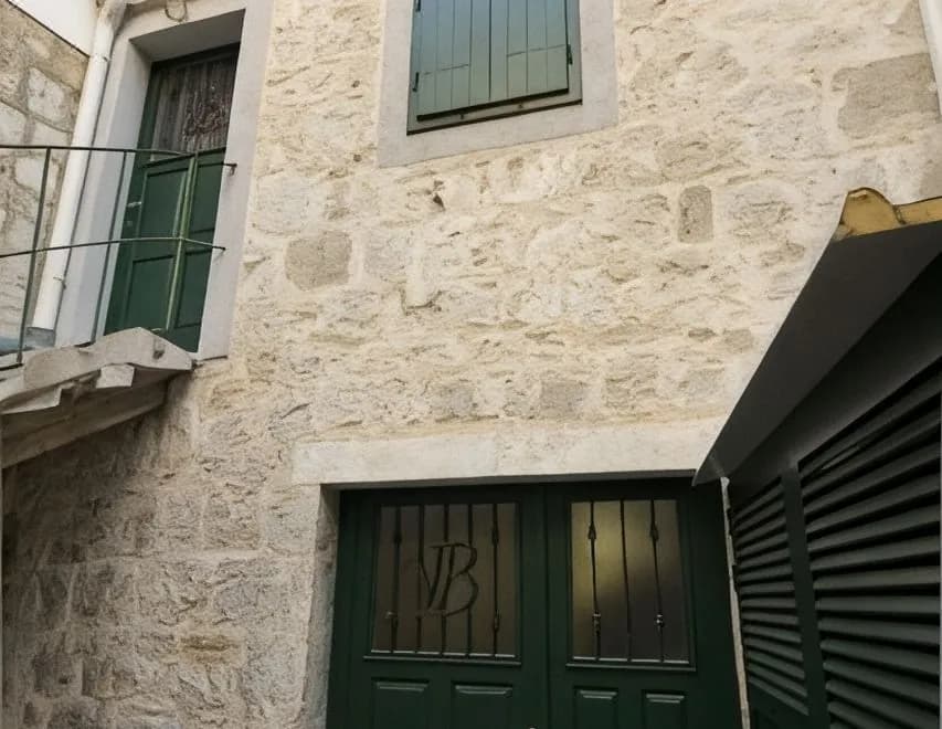 Vila Baguc