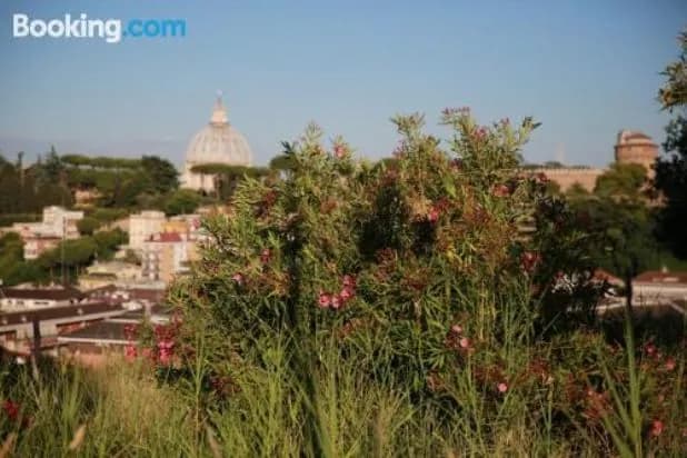 B&B All'Ombra di San Pietro