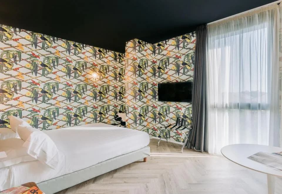 Collini Rooms