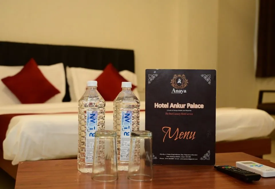 Hotel Ankur Palace