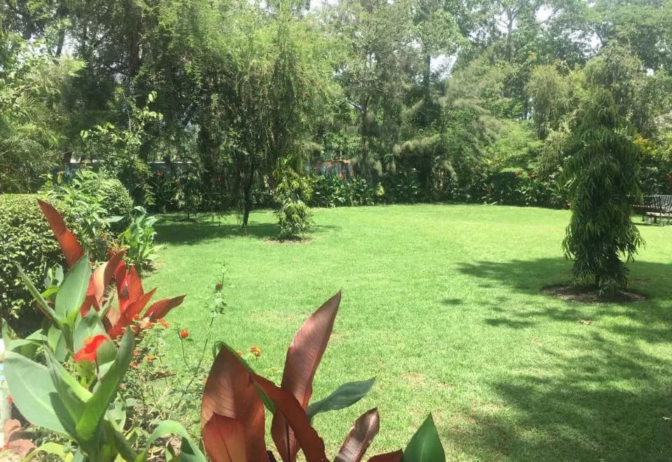 Vijiji Center lodge and Safari