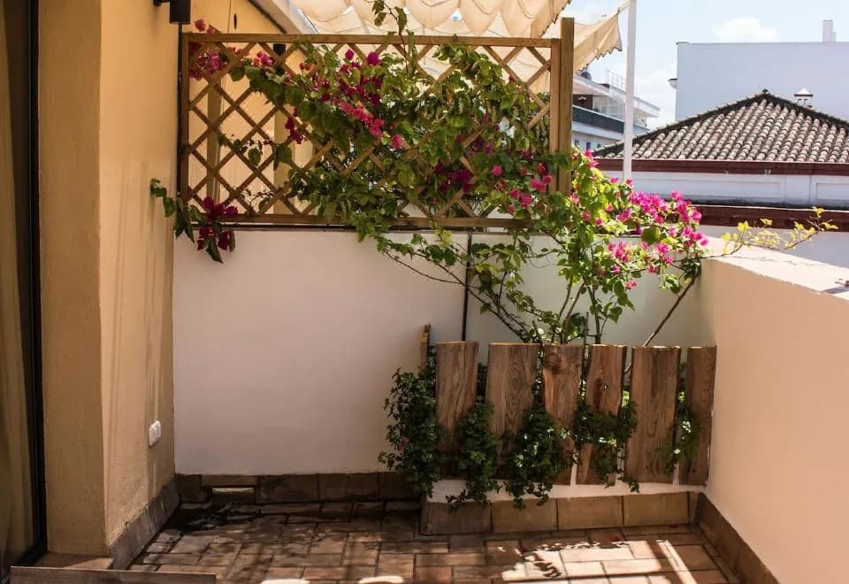 Black Swan Hostel Sevilla