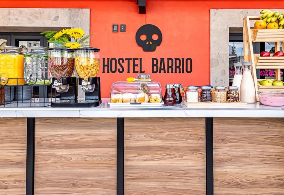 Barrio Downtown Mexico City Hostel
