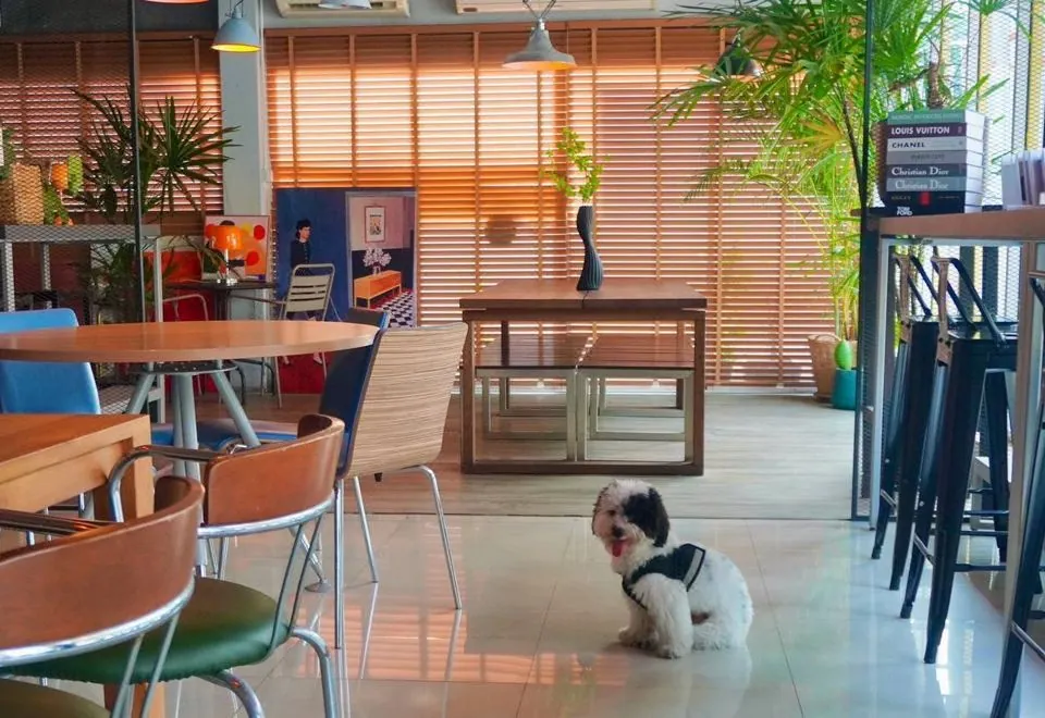 The Art Hostel Bangkok