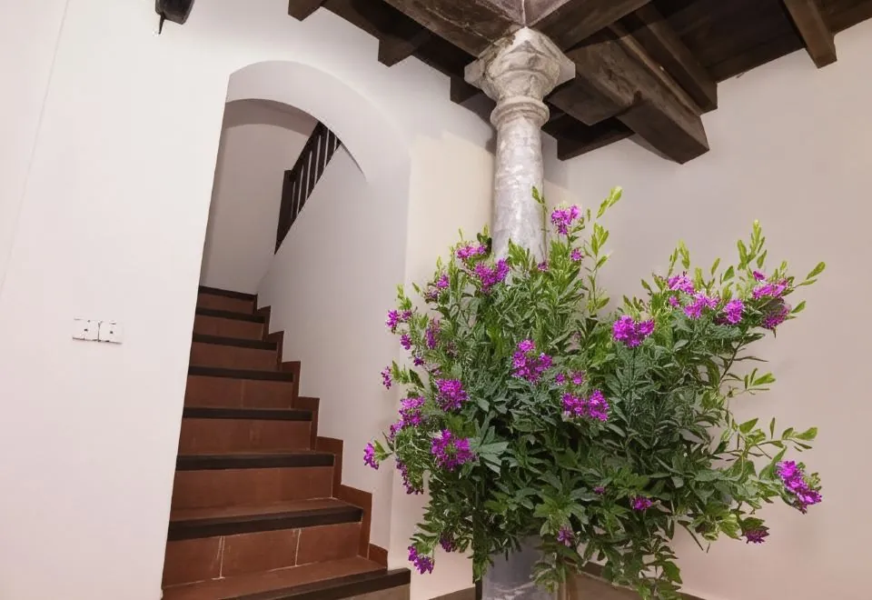 Apartamentos Nahira Suites 3000
