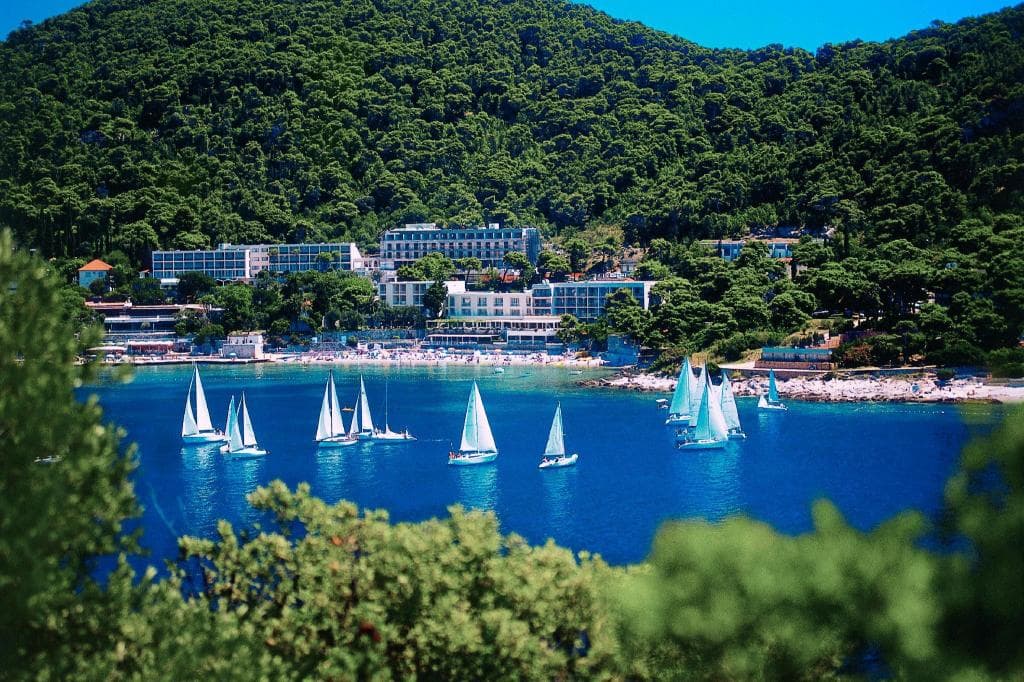 Hotel Vis