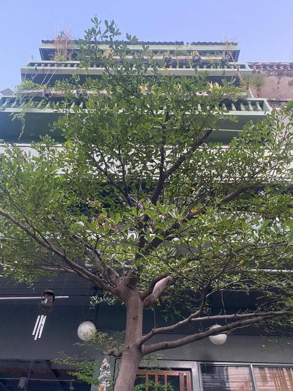 Nesuto Hostel Ramkamhaeng 52