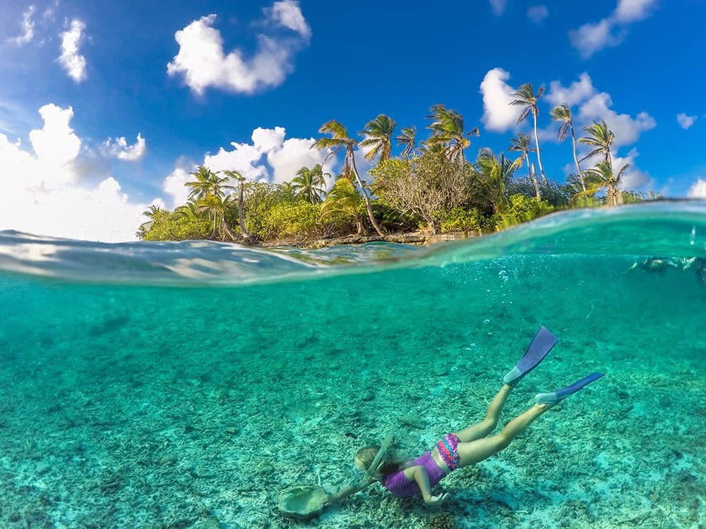 A snorkeler exploring the surface waters off a tropical island, illustrative of Cocos Island, Costa Rica