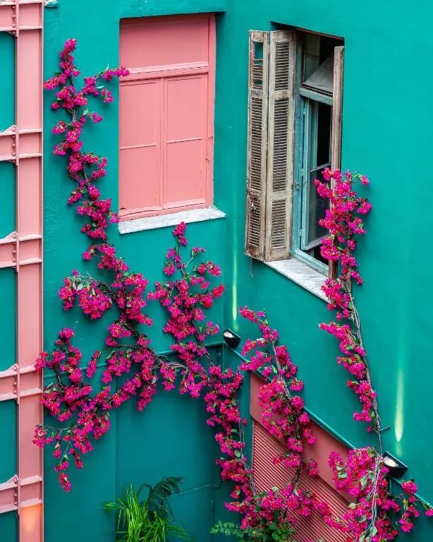Snob Athens