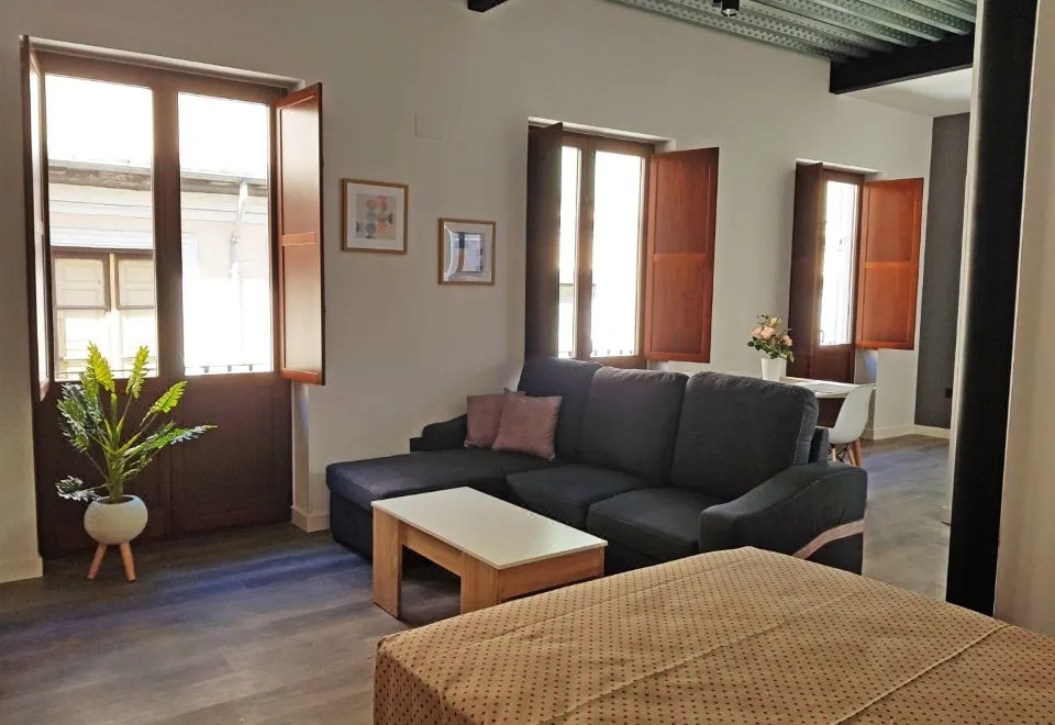 Apartamentos Granada Deluxe 3000