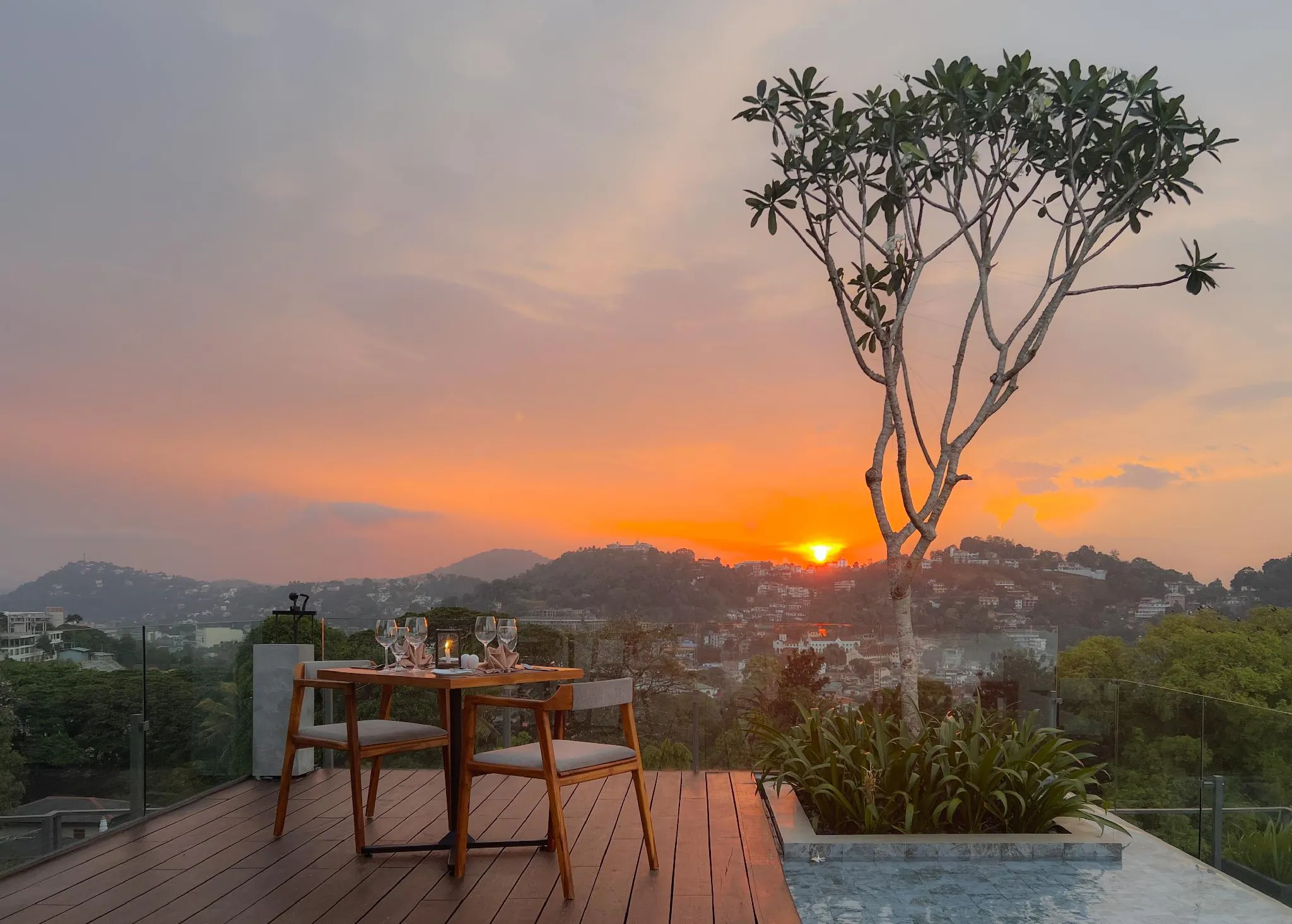 The Trees Hotel