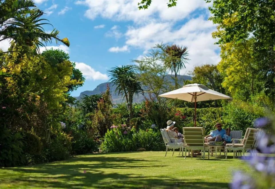 Last Word Constantia