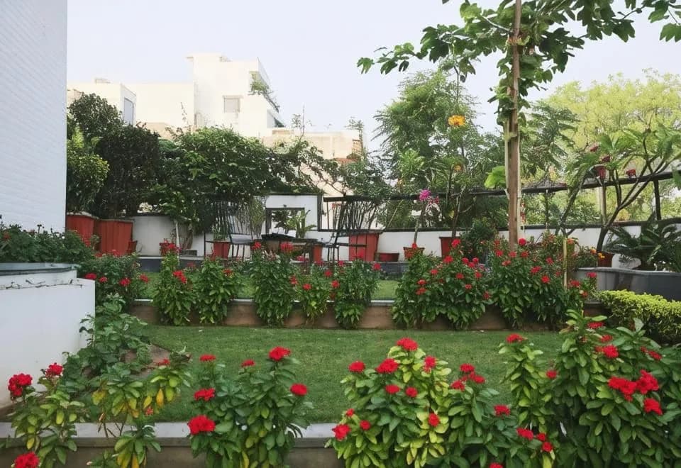 The Saneer Jaipur