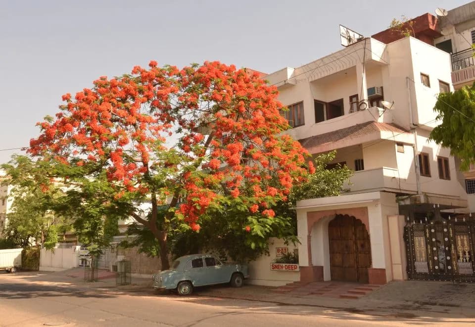 Sneh Deep Guest House