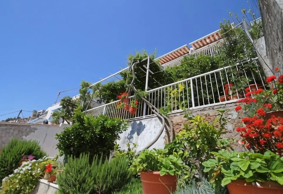 Apartments Ante