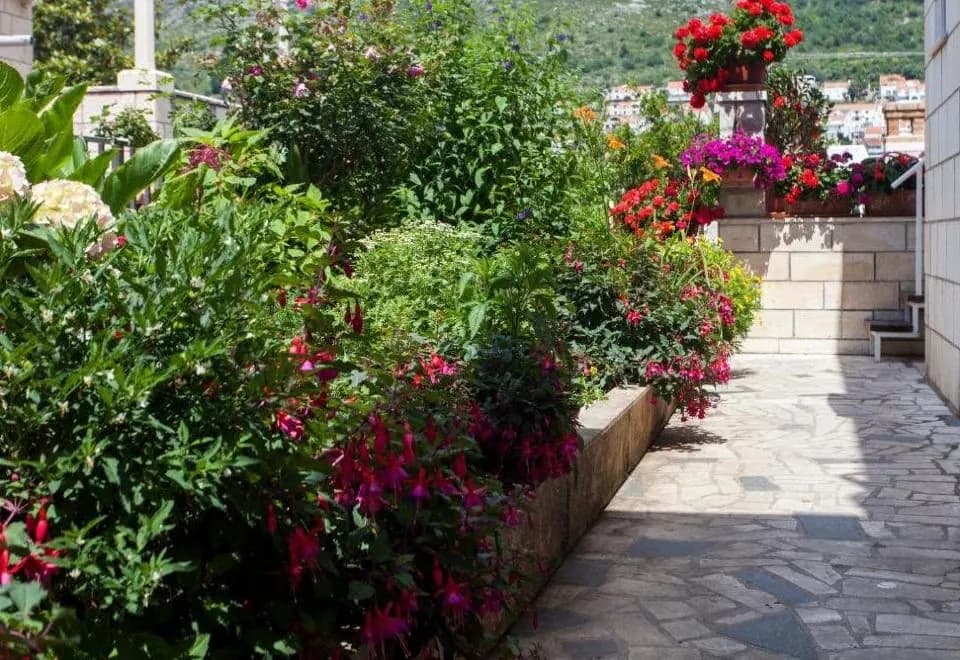 Guest House Raguz